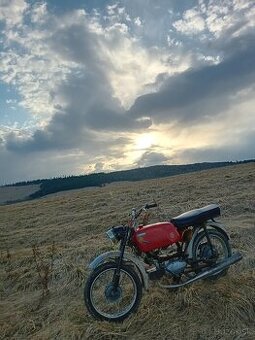 Jawa mustang 23