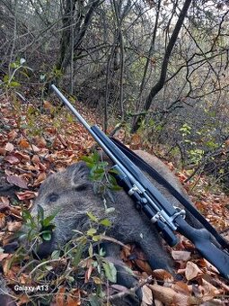Gulovnica stainless steel 30.06 Springfield