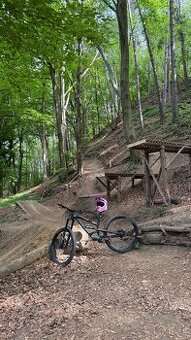 YT industries CAPRA Comp 29 2020