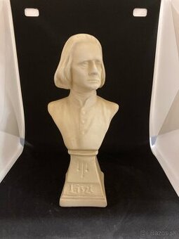 Busta Liszta