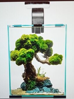 Akvarium 10L set aquael