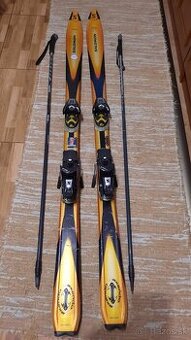 Predám zachovalé lyze značky Salomon Axendo 7.5