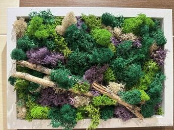 Machový obraz z prírodného stabilizovaného machu – 32 × 23 c