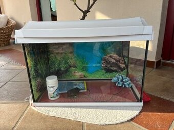 Darujem akvarium