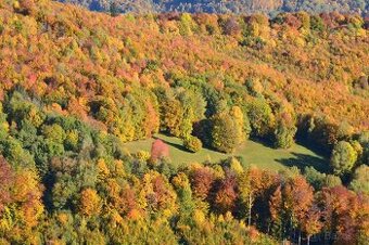 Revúca – 2.479 m2 LESOV – PREDAJ