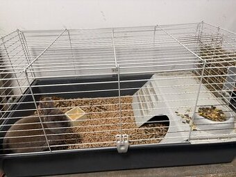 Klietka pre králika