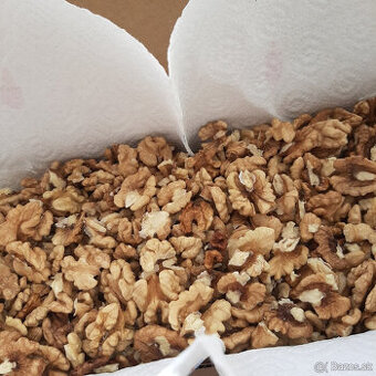 Predám tohtoročné vlašské orechy