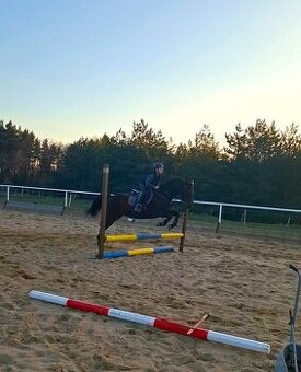 Valach