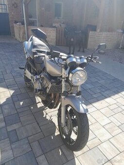 Honda hornet 600