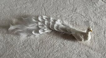 Luxusný biely páv s čipkou a pierkami – dekoračný, na klipse