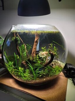 Okrúhle akvárium 13,5l