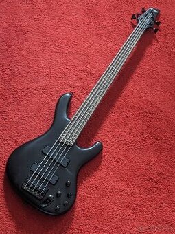 Ibanez Ergodyne EDB605 aktívna basgitara