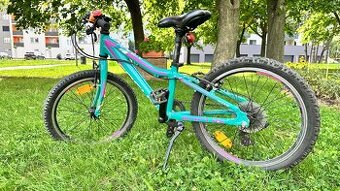 Detský bicykel Focus Reven rockie 20”