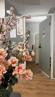 masážneho kabinetu v zabehnutom salóne