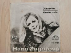 Retro darček - gramoplatne našich stálic pop music.