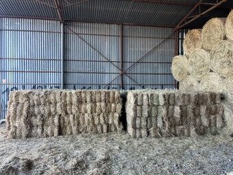 Predam seno male baliky