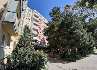 Garsónka pre jednu osobu pri Zelenom Kríčku