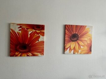 Obrazy 49x49cm