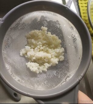 Tibetská huba na výrobu kefíru A2A2