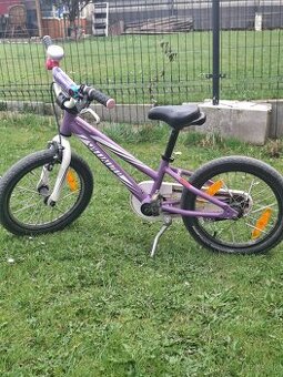 Bycikel specializeed