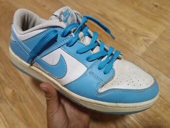 Nike Sb dunk