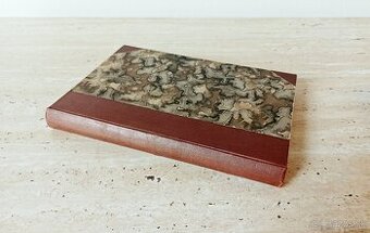 Časopisy Šťastný domov, svázaný ročník 1924, krásný stav