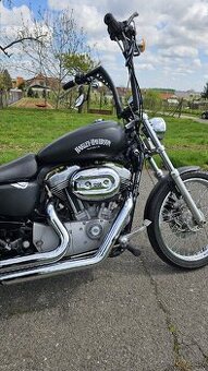 Harley Davidson Sportster 883C r.v. 2010 25kw v TP