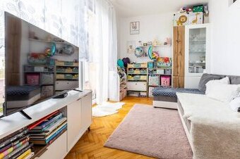 NA PREDAJ 1,5izb.najkrajší výhľad v tichej lokalite, Gerlach