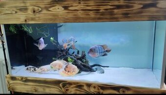 ‼️Akvárium 300l‼️