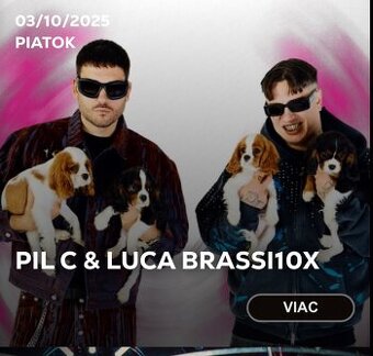 Basic/VIP lístky Pil C a Luca Brassi do Ministry