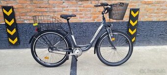 Liberty 24"