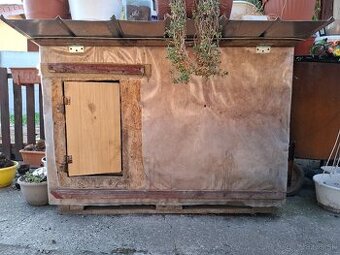 Buda pre psa