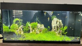 JUWEL RIO LED 180l