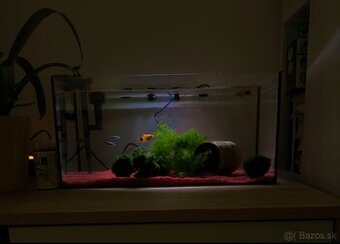 17l Nanoakvárium s príslušenstvom