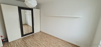 Prenájom 1-izbového bytu / Medvedzie