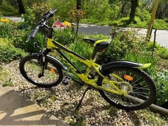 CTM Scoiby 3.0 16”