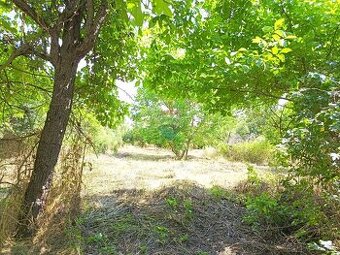 Pozemok na výstavu domu na polosamote 1939 m² – Dolná Streh