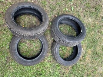 205/55 R16 zimne Sava + BFGoodrich