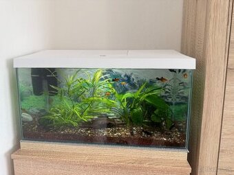 Akvarium 60L
