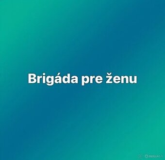 Joinme.sk Brigáda pre ženu