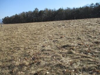 Pozemok na predaj v obci Kocúrany