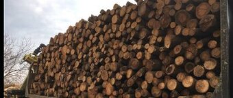 Predam palivove drevo