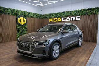 Audi e-tron 55 quattro | B&O | Panorama | Vzduchový podvozok