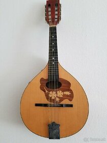Predám mandolínu s o snímačom - 1