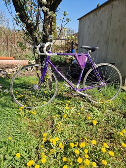 Cestný Bicykel Favorit retro fialová