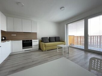 PRENÁJOM - 1 izbový byt s balkónom + garážové státie
