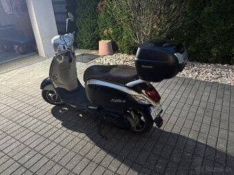 Sym fidlle 3 125 cm