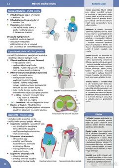 Memorix PDF