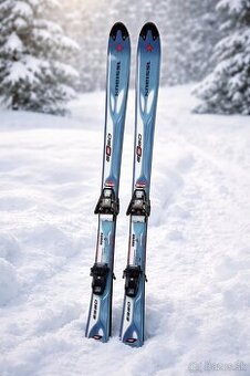 Lyže KNEISSL s viazaním SALOMON