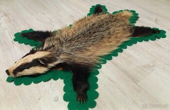 Jazvec, koža, preparat jazvec